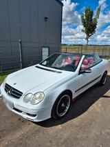 Mercedes-Benz Mercedes CLK 320CDI Cabrio Tüv 5/27 Design... - Mercedes-Benz CLK 320 in Köln