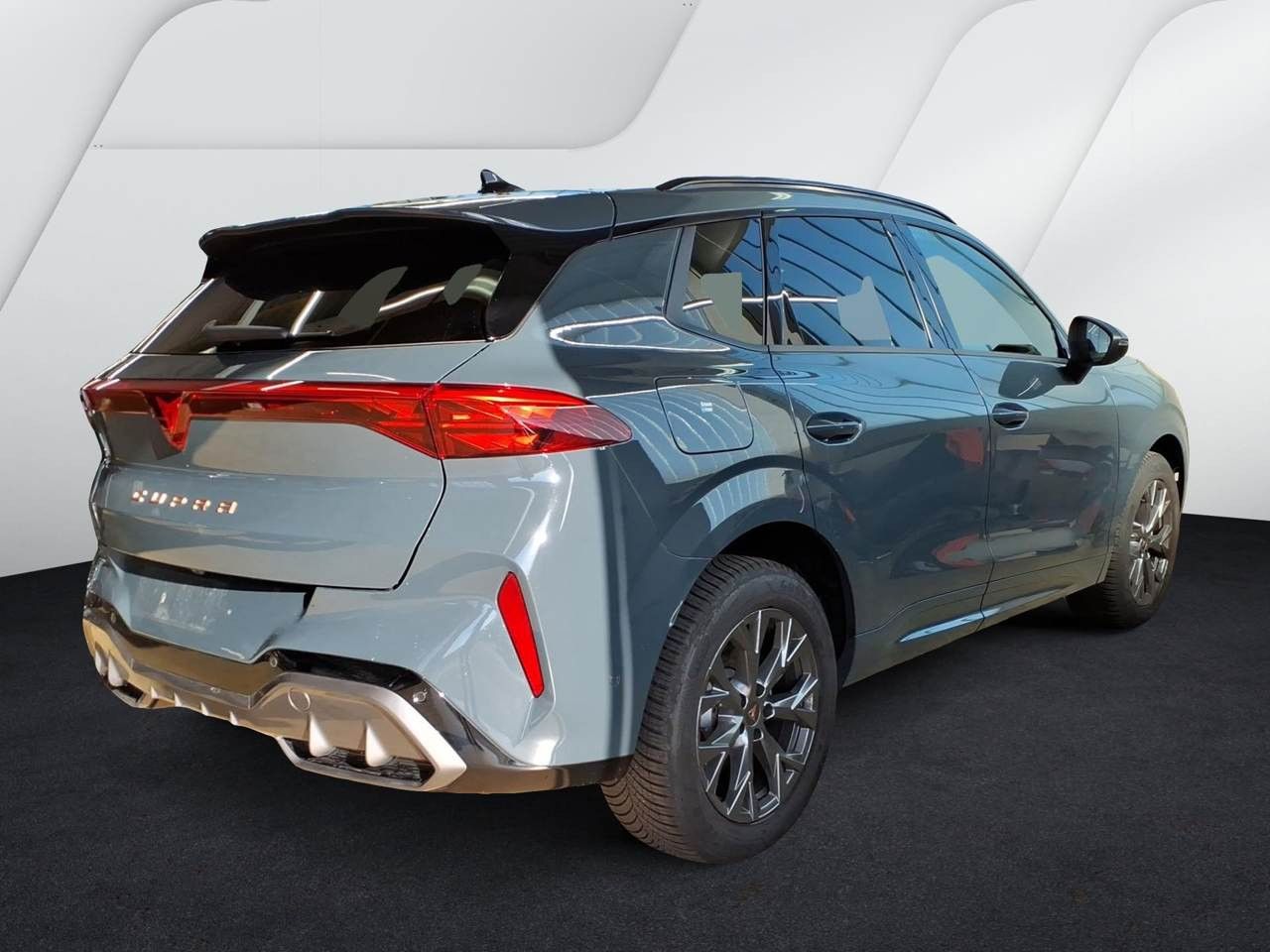 Cupra Terramar 2.0 TSI 4Dr. Matrix-ultra Edge 01.31Gar foto 3