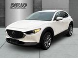 Mazda CX-30 Selection 2WD PDC+Kamera Navi Sitzh. CarPl - Mazda CX-30 aus 2023