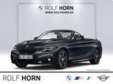 BMW 230i Cabrio M Sportpaket Autom Navi Leder RFK - BMW 230 aus 2020