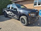 Ford F 150 5,0 V8 STX 4X4 CREWCAB 700km NEUWERTIG - Ford F 150 mit Benzin-Antrieb: Automatik