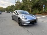 Tesla Model Y Dual Motor AWD Long Range - Tesla Model Y in Dortmund