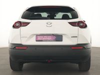 Mazda MX-30 - Vorschau Bild 7