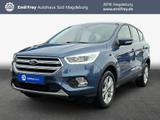 Ford Kuga 1.5 EcoBoost 4x4 Aut. Titanium - Ford Kuga: Blau