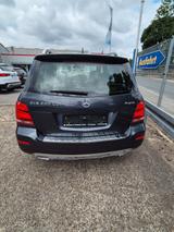 Mercedes-Benz GLK 220 CDI 4MATIC - - Mercedes-Benz GLK 220 in Essen