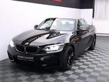 BMW M240i xDrive Cabrio *H/K*Carbon*DAB*RFK*SHZ* - BMW M240i in Hannover