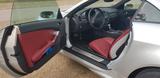 Mercedes-Benz SLK 350 AMG Styling - Mercedes-Benz SLK 350 von privat