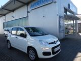 Fiat Panda Easy 1.2 KLIMA/1.Hand/Servo/HU&AU NEU ! - gebrauchte Fiat Panda aus dem Jahr 2019