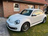 Volkswagen vw new beetle 1,2 l Cup - Volkswagen New Beetle: Navigationssystem