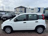 Fiat Panda +5SITZER+ALLWETTER+KLIMA+BLUETOOTH+DAB+ - Fiat Panda Gebrauchtwagen in Münster