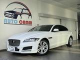 Jaguar JAGUAR XF 2.0 D 180 CV aut. Portfolio MOTORE NUO - Jaguar XF Portfolio mit Diesel-Antrieb