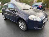 Fiat Punto 1.2 8V Active Active - Fiat Punto