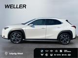 Lexus UX 250h Executive Line AUT*HUD*Leder*el. Sitze* - gebrauchte Lexus SUV & Geländewagen