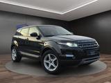 Land Rover Range Rover Evoque Pure Technik AHK°NAVI°SHZ°PDC - Land Rover Range Rover Evoque: Pure Technik