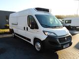 Fiat DUCATO KÜHLKASTENWAGEN -10C STROMVERSORGUNG 230V - Autokran