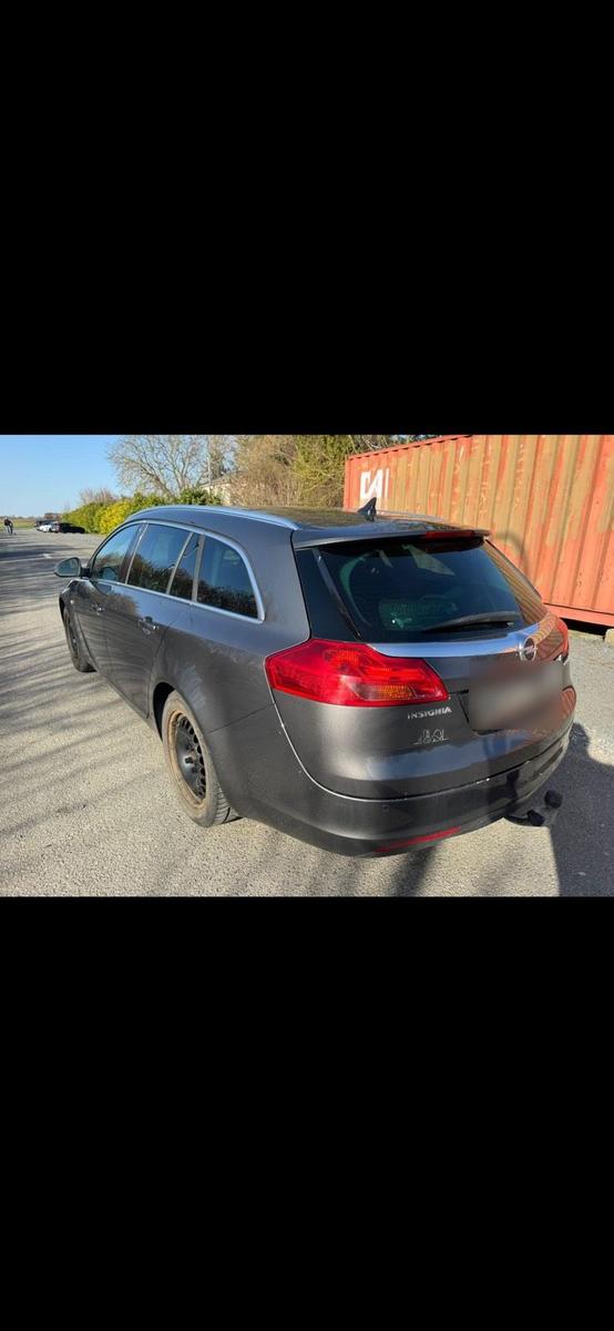 Opel Insignia 2010 — engine 131 HP (96kW)