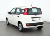 Fiat New Panda Pandina 1.0 mHEV App Connect PDC klima - Autos mit Tageszulassung