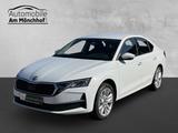 Skoda Octavia 1.5 TSI 110 kW Selection NAV,LED,AHK,SWA - Skoda Octavia: SW
