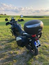 Suzuki DL 650 V-Strom - SUZUKI 650 DL