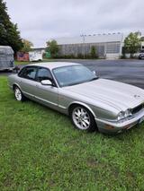 Jaguar XJ 8 Benzin und GAS - Jaguar XJ8 aus 1999