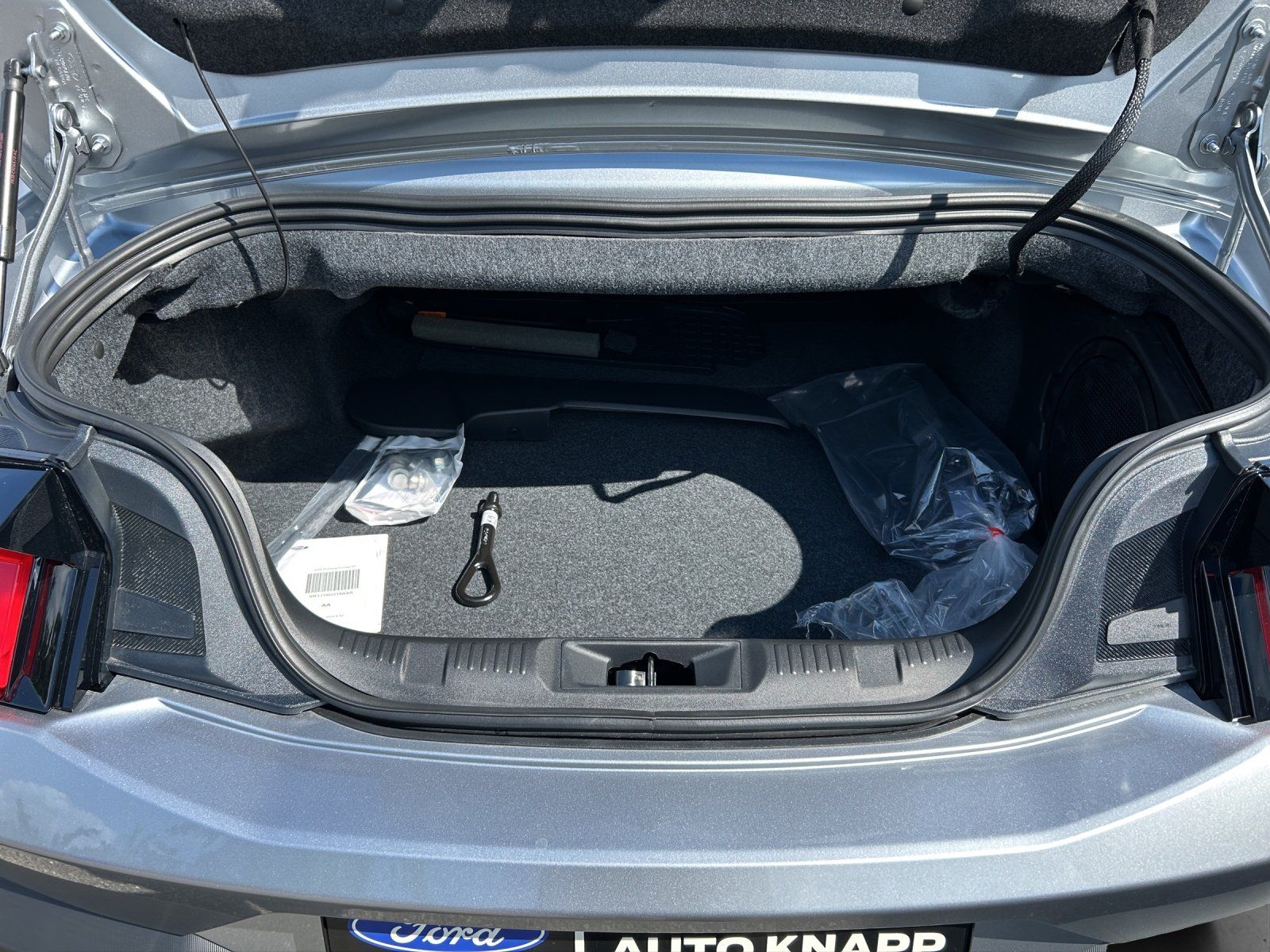 Fahrzeugabbildung Ford Mustang Convertible GT Cabrio Magned Ride