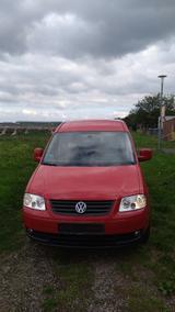 Volkswagen Caddy Maxi / Behindertentransport - VW Caddy Maxi von privat