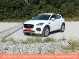 Jaguar E-PACE R-Dynamic S 2,0 D Automatik , Voll-Leder - Jaguar: Allradantrieb