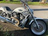 Harley-Davidson V-ROD,VRSCA - 2002 V ROD