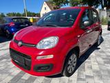 Fiat Panda 1.2 Pop / HU&Insp.NEU / Allwetter Reifen - Fiat Panda: Pop
