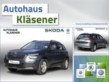 Skoda Kamiq Ambition 1.0TSI 81KW DSG LED PDC SHZ GRA - Skoda Kamiq: Kleinwagen