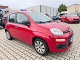 Fiat New Panda 1.2 8V LOUNGE|Klima|1-Hand - Fiat New Panda Gebrauchtwagen