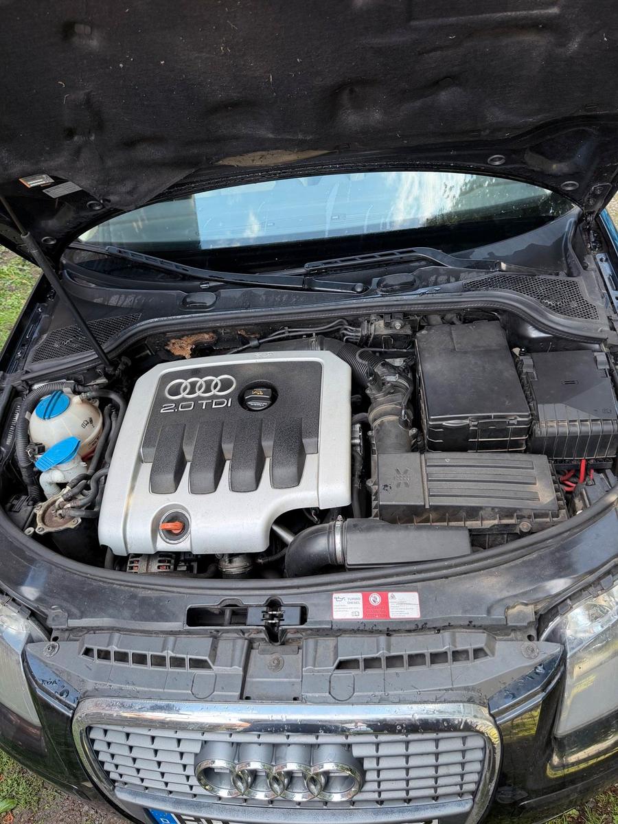 Audi A3 2004 — photo 8