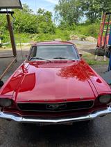 Ford Mustang - Ford Mustang aus 1966: Coupé