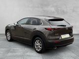 Mazda CX-30 SELECTION 2.0 SKYACTIV-G SHZ+360°KAMERA - graue Mazda CX-30