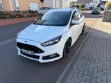 Ford Focus 2,0 EcoBoost ST Leder-Sport-Paket ST - Ford Focus: Weiß, ST