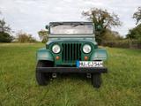 Jeep CJ 5 Oldtimer - Jeep: Old
