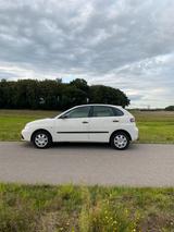 Seat Ibiza 1.2 12V 51kW /69PS - TÜV neu