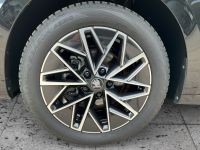 Skoda Octavia - Vorschau Bild 7