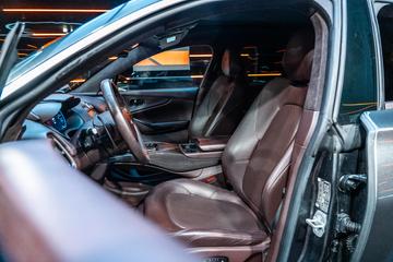 2020 Aston Martin DBX 缩略图 34