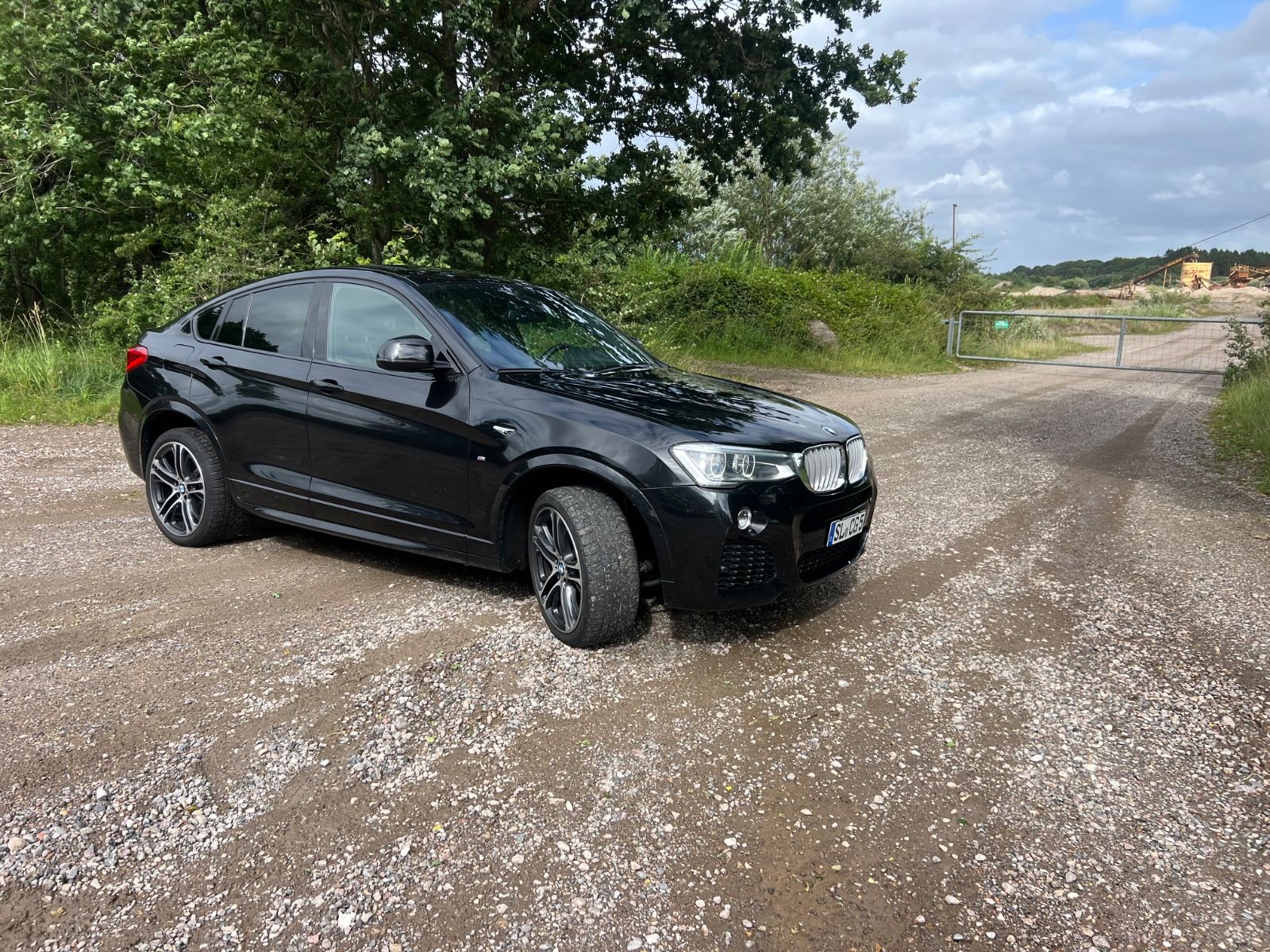 BMW X4 xDrive35d AT -