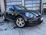 Volkswagen Beetle Lim. Basis - Volkswagen Beetle: Kleinwagen