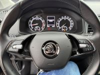 Skoda Karoq - Vorschau Bild 10