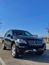 Mercedes-Benz ML 350 CDI 4MATIC - - Mercedes-Benz ML 350 in Augsburg
