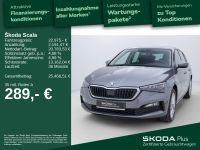 Skoda Scala - Vorschau Bild 2