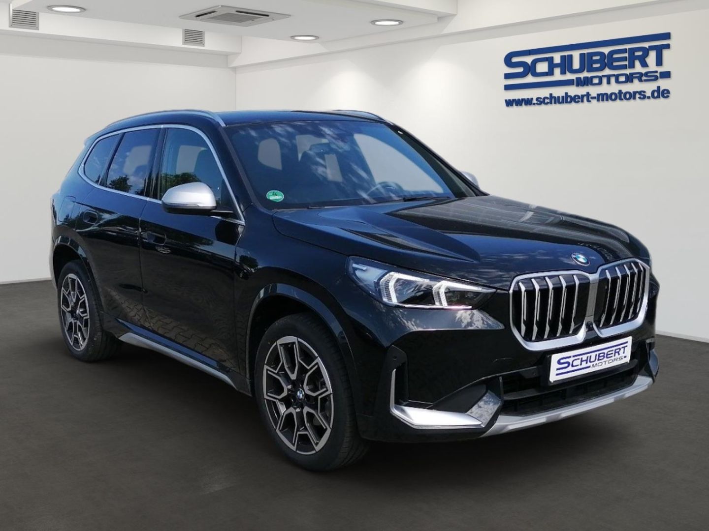 BMW X1 xDrive20d xLine HUD Harman 360Kamera AdaptLED imagem 2