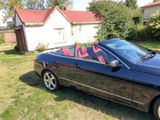 Mercedes-Benz E 250 d Sport Edition Autom. Leder Sitzbelüftung - Mercedes-Benz E 250: Sport
