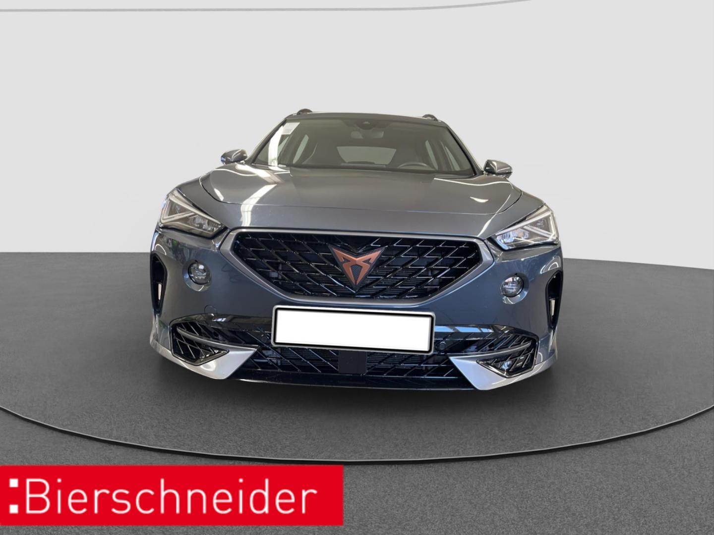 Cupra Formentor 2.0 TSI DSG 4Dr VZ AHK PANO BEATS REAR