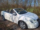 Volkswagen Eos 1.4 TSI 90kW - - Volkswagen Eos: Weiß