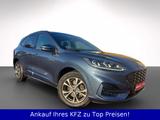 Ford Kuga PHEV ST-Line HeadUP+LED+Sitz&Lenkradhz+PDC - Ford Kuga Gebrauchtwagen in Freiburg