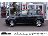 Fiat Panda Hybrid 1.0 GSE NEUES MODELL 2024 CITY TEMP - Fiat Panda: 2.1